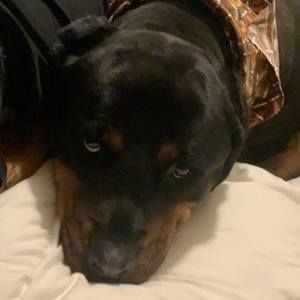 Meet your Posher, Christopher